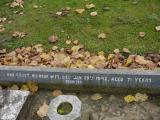 image of grave number 198883